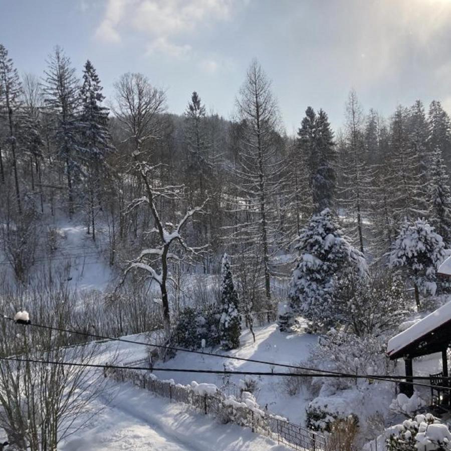 Cud Miod Daire Wisła Dış mekan fotoğraf